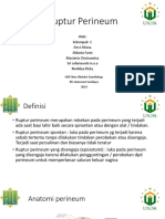 CBD Ruptur Perineum Definisi