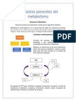 Resumen Unidad I y II - Metabólica