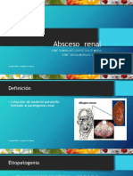 Absceso renal y perirrenal