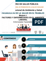 Promocion Modulo i