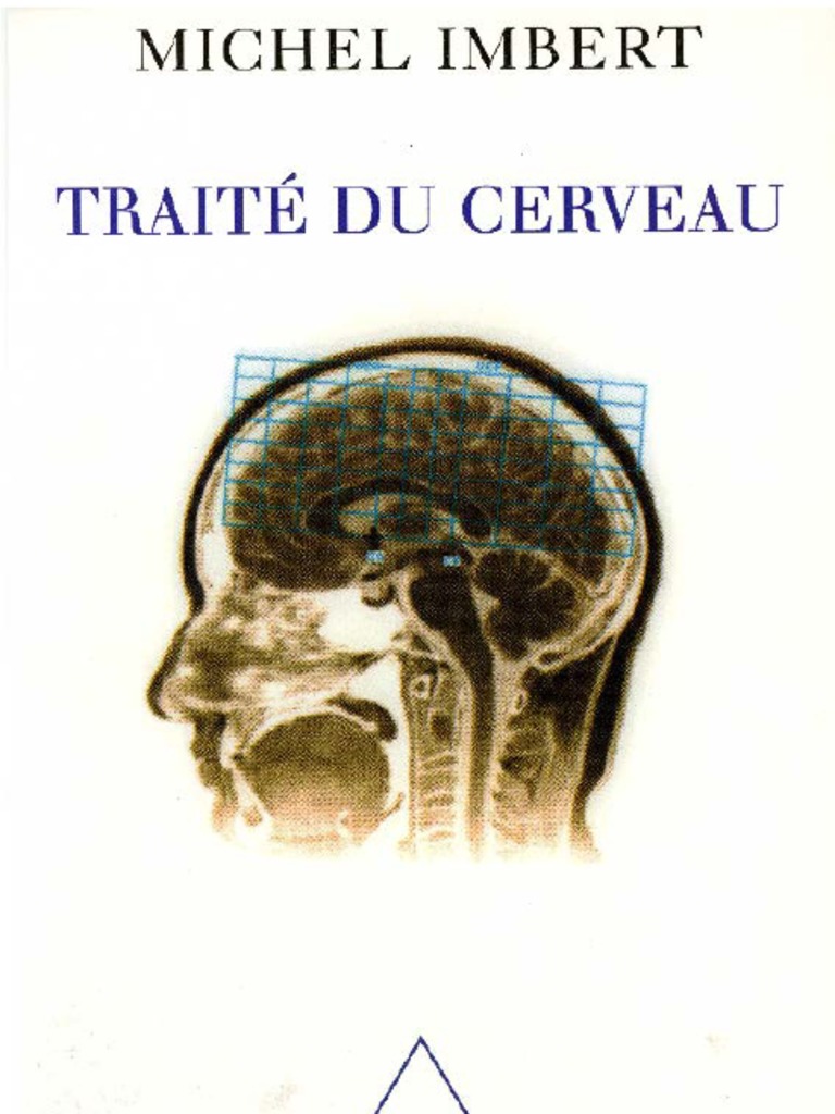 Si l'on perd ses clés, c'est que notre cerveau est désynchronisé !