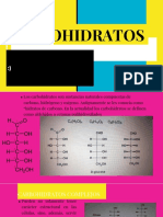 CARBOHIDRATOS Exposicion