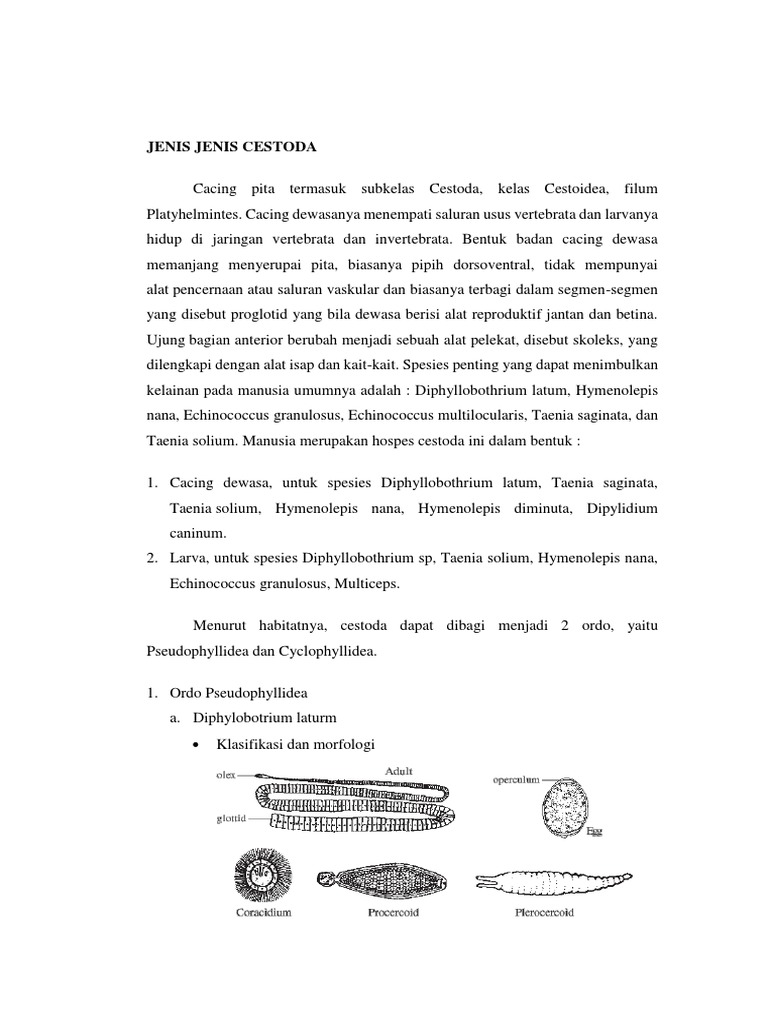 Jenis Cestoda | PDF