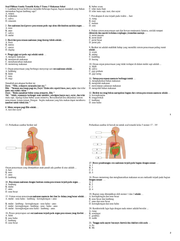 Soal Sistem Pencernaan Manusia Kls 5 Sd Pdf