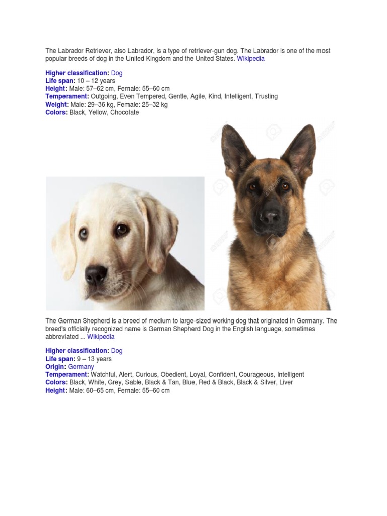 Dog Breeds Pdf