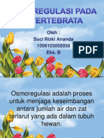 PPT Osmoregulasi