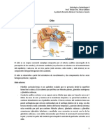 2Guia 17 de Oido.pdf