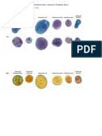 Intestinal Parasites: Comparative Morphology Figures
