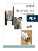 Lecture8 Salt PDF