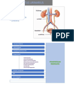 Urogenital Radio Kontras.pptx