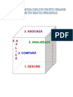 1_metodacubului (1).doc