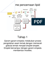 Mekanisme Pencernaan Lipid