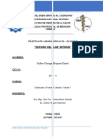 Informe 8 - División Celular - Mitosis