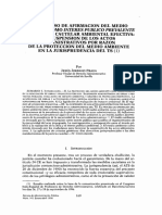 El Proceso de Afirmacion Del MedioAmbiente