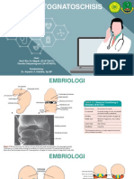 Labiopalatognatoschisis - Na