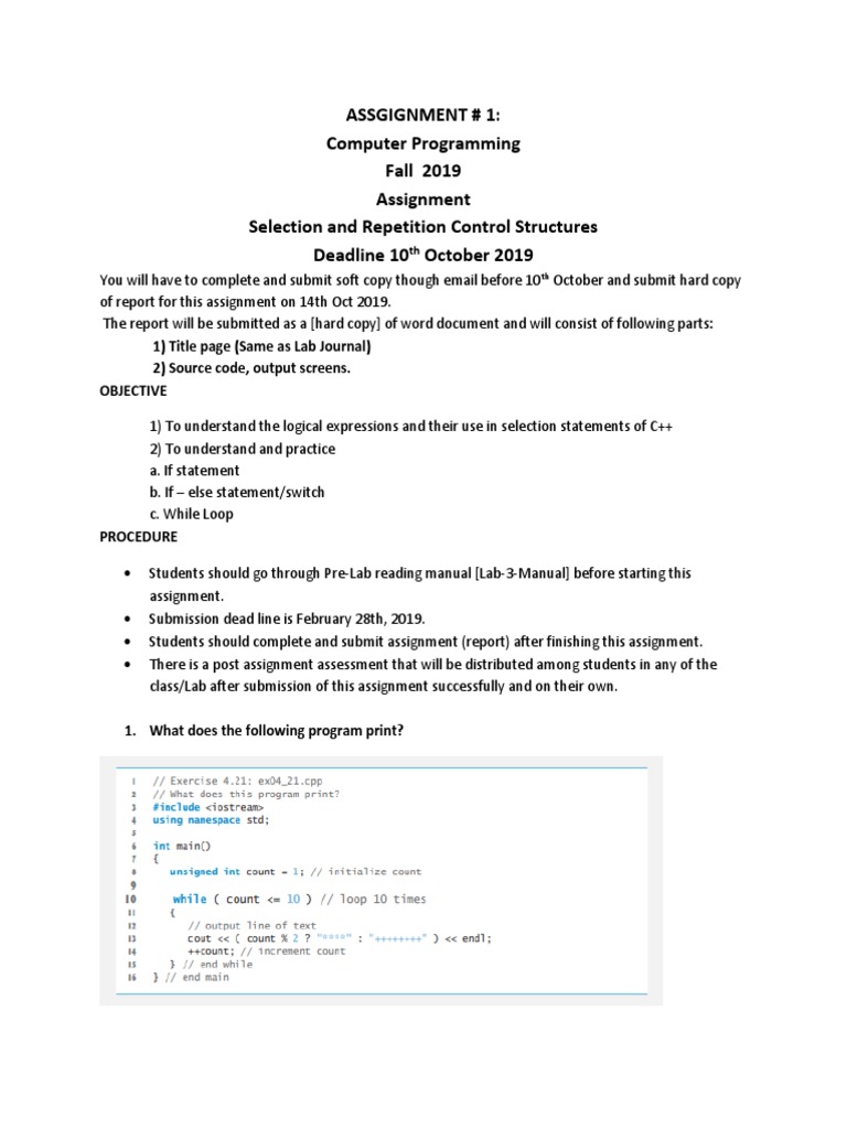 Selection and Repetition Control Structures Assignment | PDF | Computer ...
