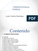 Derecho constitucional general