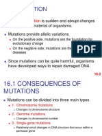 Gene Mutation Dna Repair Transpososable Element