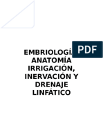 Embriologia, Anatomia y Drenaje Linfatico