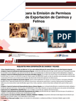 Requisitos para La Exportacion de Caninos y Felinos PDF