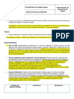 Procedimiento de Trabajo Seguro Palletizado Manual - OBSSERVACIONES