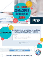 Dictamenes de Auditoria