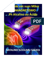 BIOMAGNETISMO