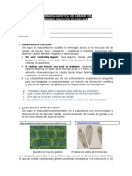 Evaluación diagnóstica CTA - 1°.doc