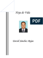 Hoja de Vida: David Sánchez Rojas