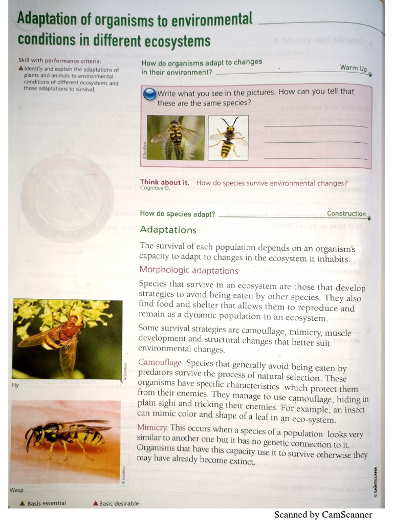 Animal Adaptation .40 | PDF
