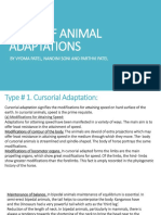Types of Animal Adaptations: by Vyoma Patel, Nandini Soni and Parthvi Patel