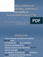 c3balceras Venosas Arteriales y Neuropc3a1ticas1 Copia