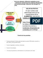 Zootecnia. Proteinas