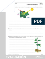 4º C.N. - EVALUACIÓN - 1.pdf