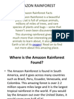 Amazon Rainforest