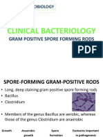 Clinical Bacteriology: Gram Positive Spore Forming Rods