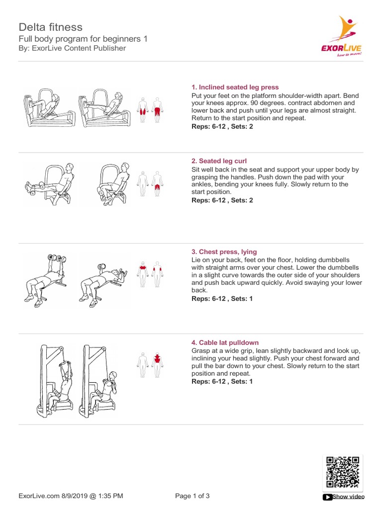 Beginner Full Body Workout Guide | PDF | Human Anatomy | Sports