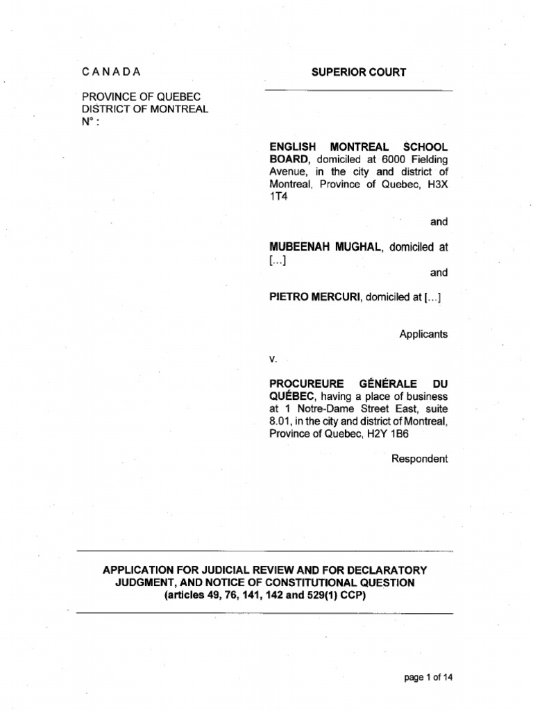 Application For Judicial Review | PDF