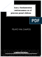 Técnicas y fundamentos del contraexamen en el proceso penal chileno - Pelayo Vial Campos (1).pdf