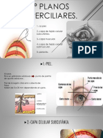 3° Planos Superciliares.