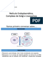 Retículos, Golgi e Lisossomos.pptx