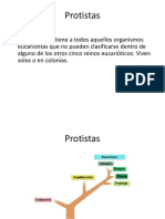 Clase protista Micro Gral Bqca 2014.pdf