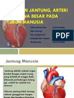 Anfis r2 1 Anatomi Jantung, Arteri, Vena