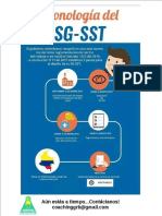 Infografia SST