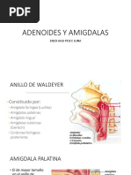 Adenoides y Amigdalas