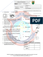 Evaluacion Naturales II Periodo