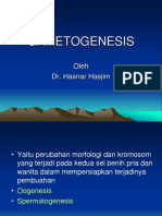 gametogenesis.ppt