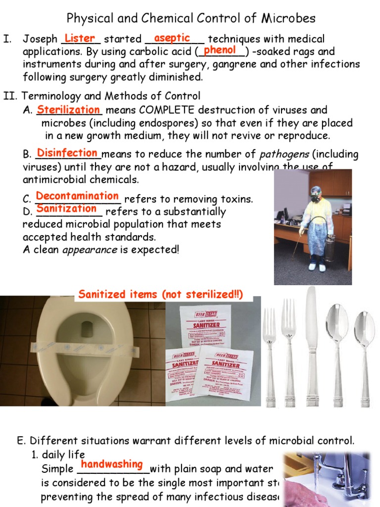 Microbial Control Techniques Overview | PDF | Sterilization ...