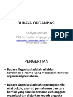 Dr. Adelina - Budaya Organisasi