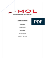  Mol Internship Report FINAL